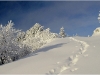 Lans en Vercors - 10 janvier 2010