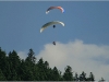 Parapentes à Lans en Vercors - 23 juin 2010