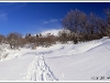 Plateau des Ramées 25 janvier 2009