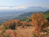 Sécheresse Vercors Août 2022