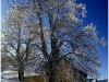 St Nizier du Moucherotte - 9 janvier 2009