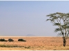 Tanzanie - Août 2010