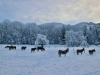 Lans en Vercors - 5 décembre 2020