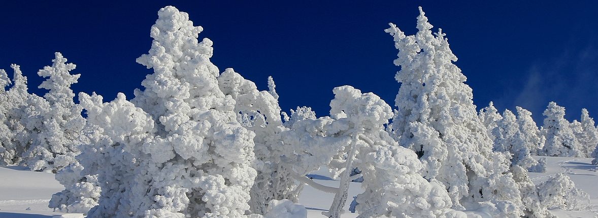 Photos du Vercors, des Alpes et d'ailleurs … au fil des jours et des années.