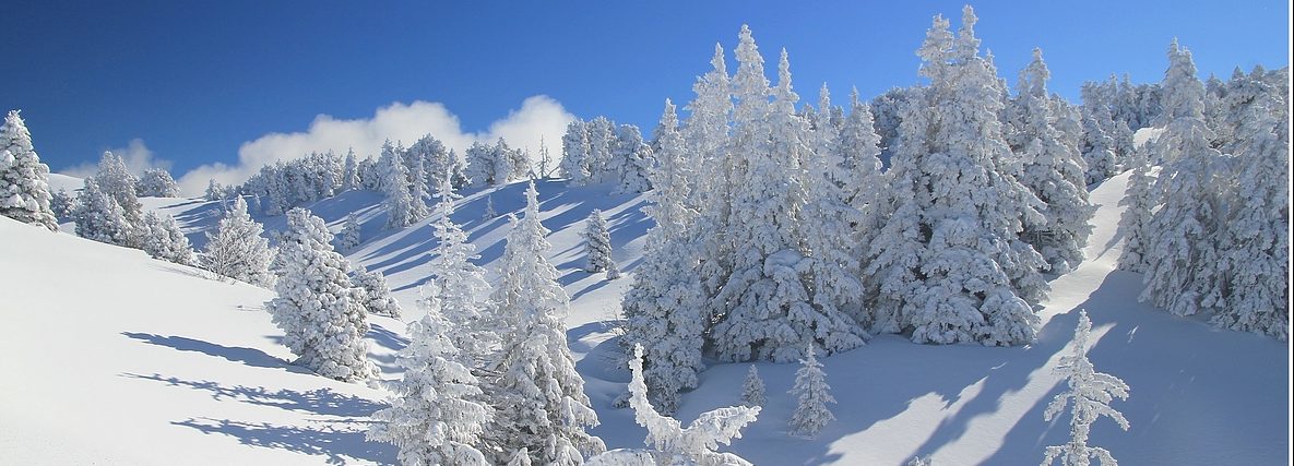 Photos du Vercors, des Alpes et d'ailleurs … au fil des jours et des années.