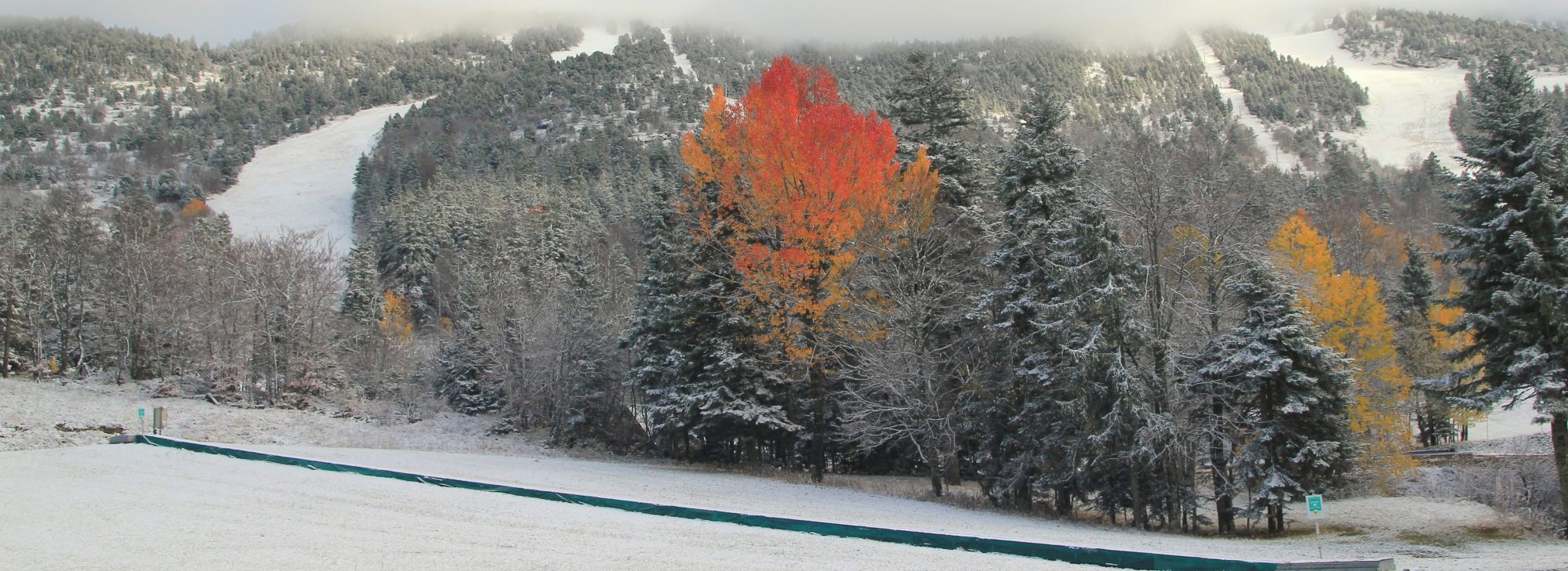 Photos du Vercors, des Alpes et d'ailleurs … au fil des jours et des années.