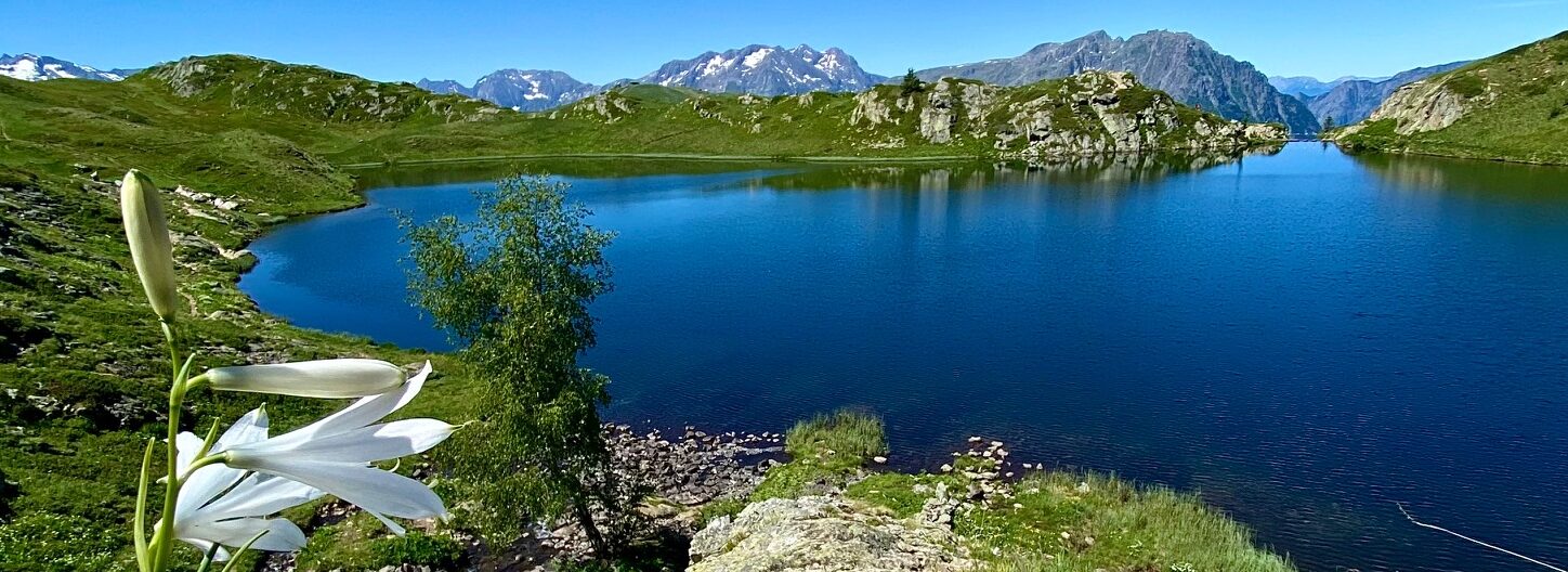 Photos du Vercors, des Alpes et d'ailleurs … au fil des jours et des années.