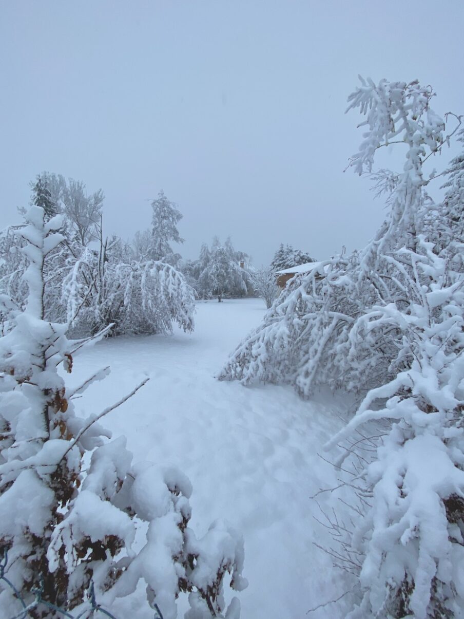 Neige de printemps à Lans en Vercors - 27 mars 2024