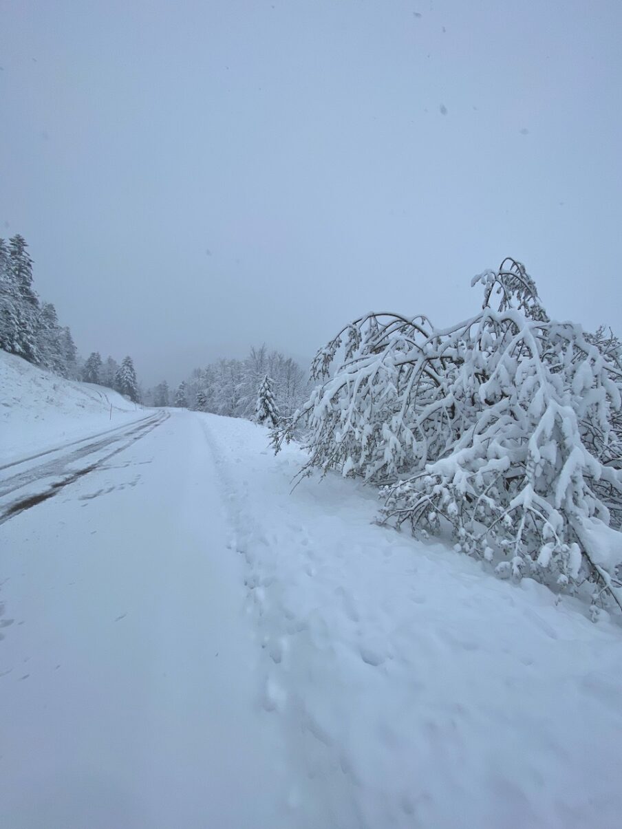 Neige de printemps à Lans en Vercors - 27 mars 2024