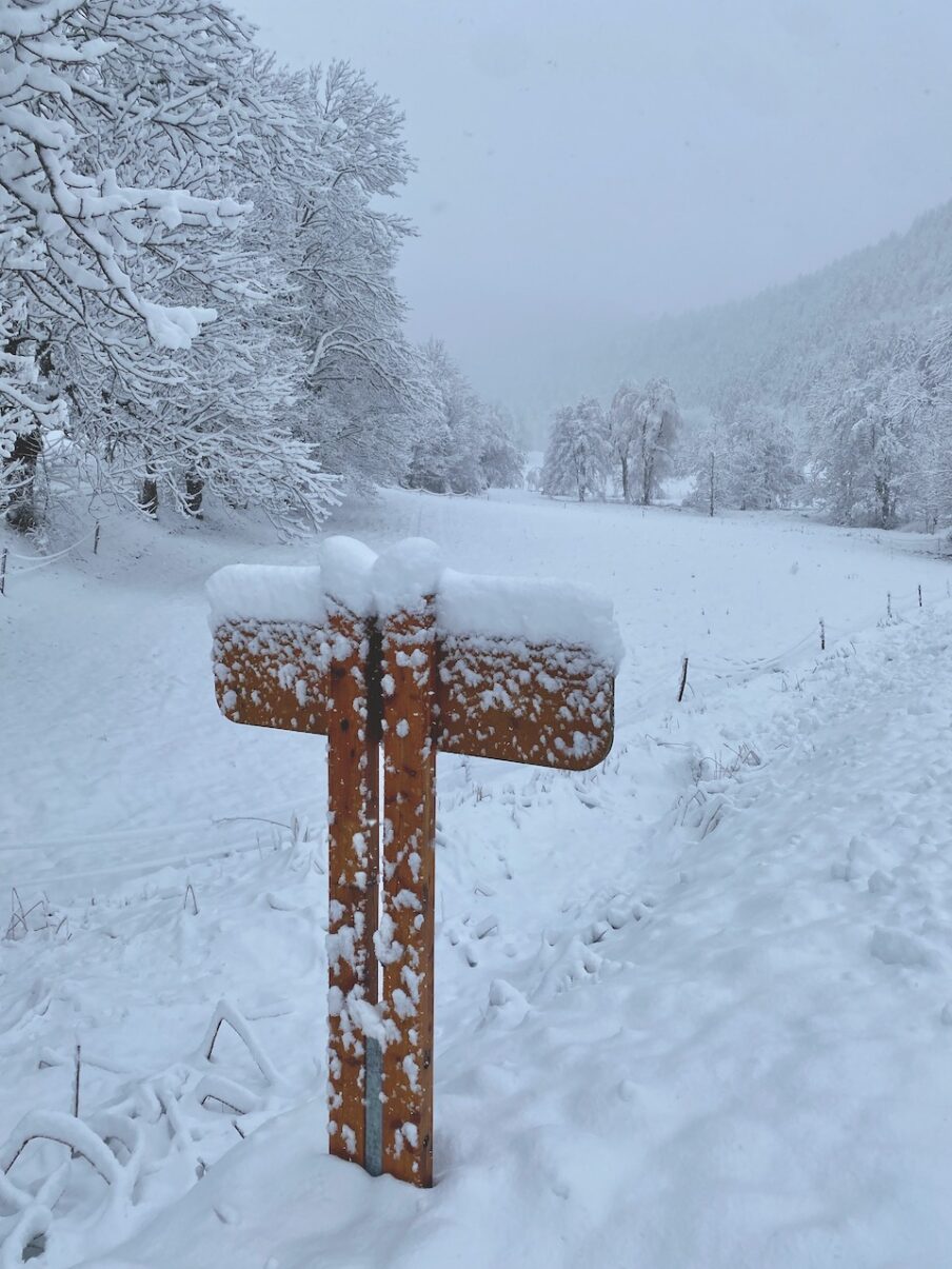 Neige de printemps à Lans en Vercors - 27 mars 2024