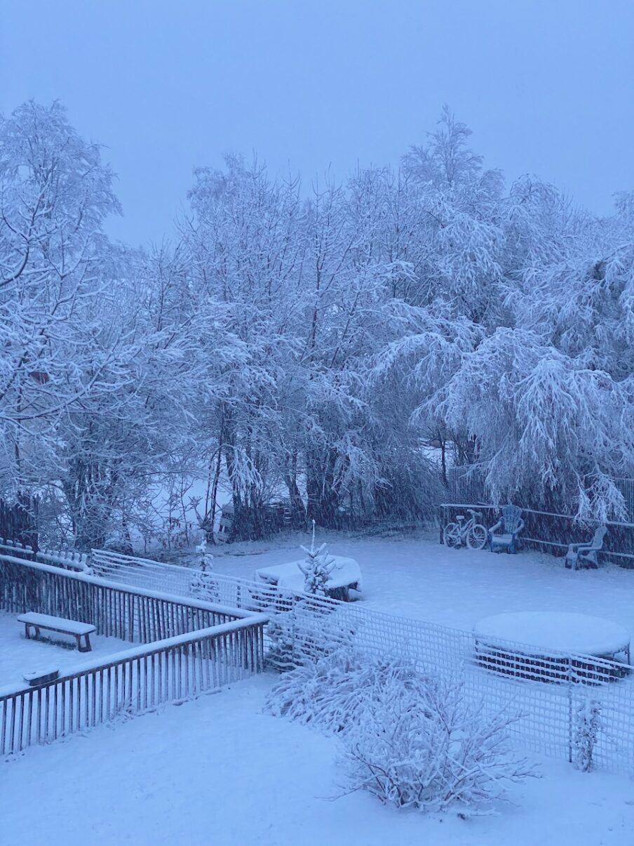 Neige de printemps à Lans en Vercors - 27 mars 2024