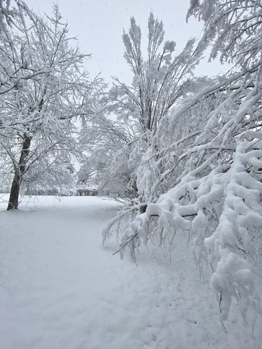 Neige de printemps à Lans en Vercors - 27 mars 2024