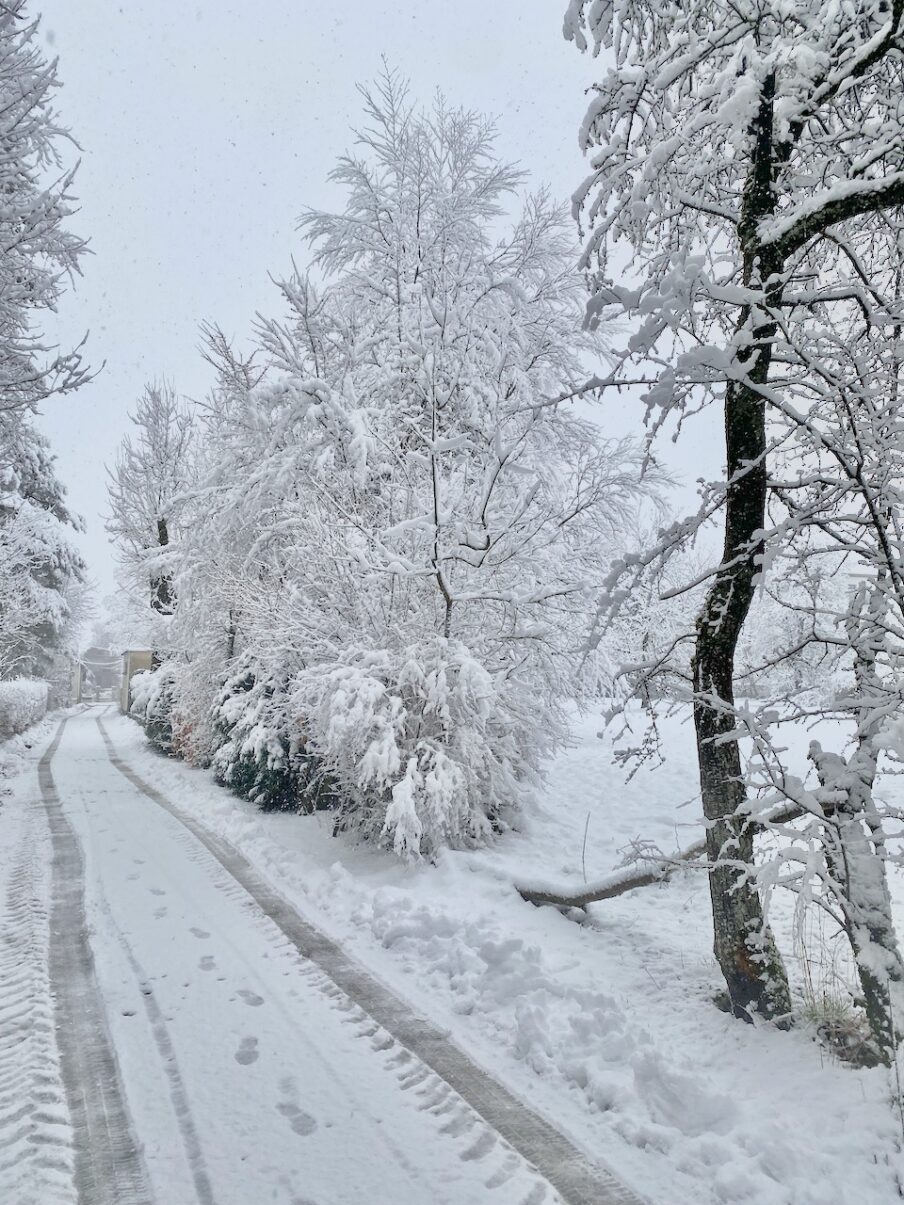 Neige de printemps à Lans en Vercors - 27 mars 2024