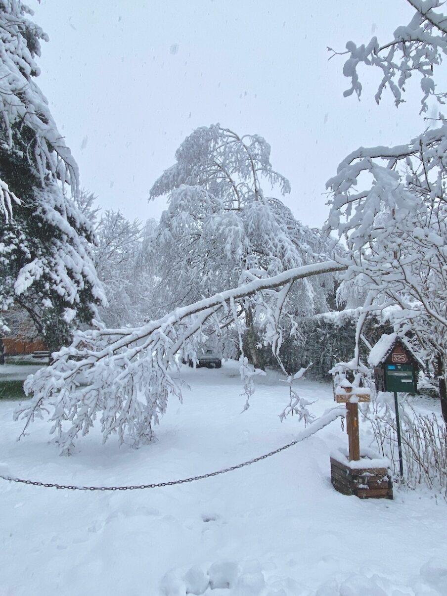 Neige de printemps à Lans en Vercors - 27 mars 2024