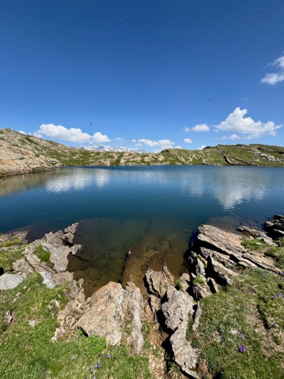 Plateau d'Emparis 22 juin 2025